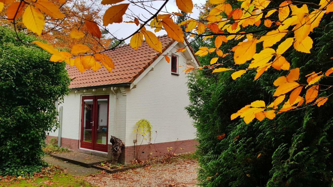 Dennenhuis Vaassen Kültér fotó