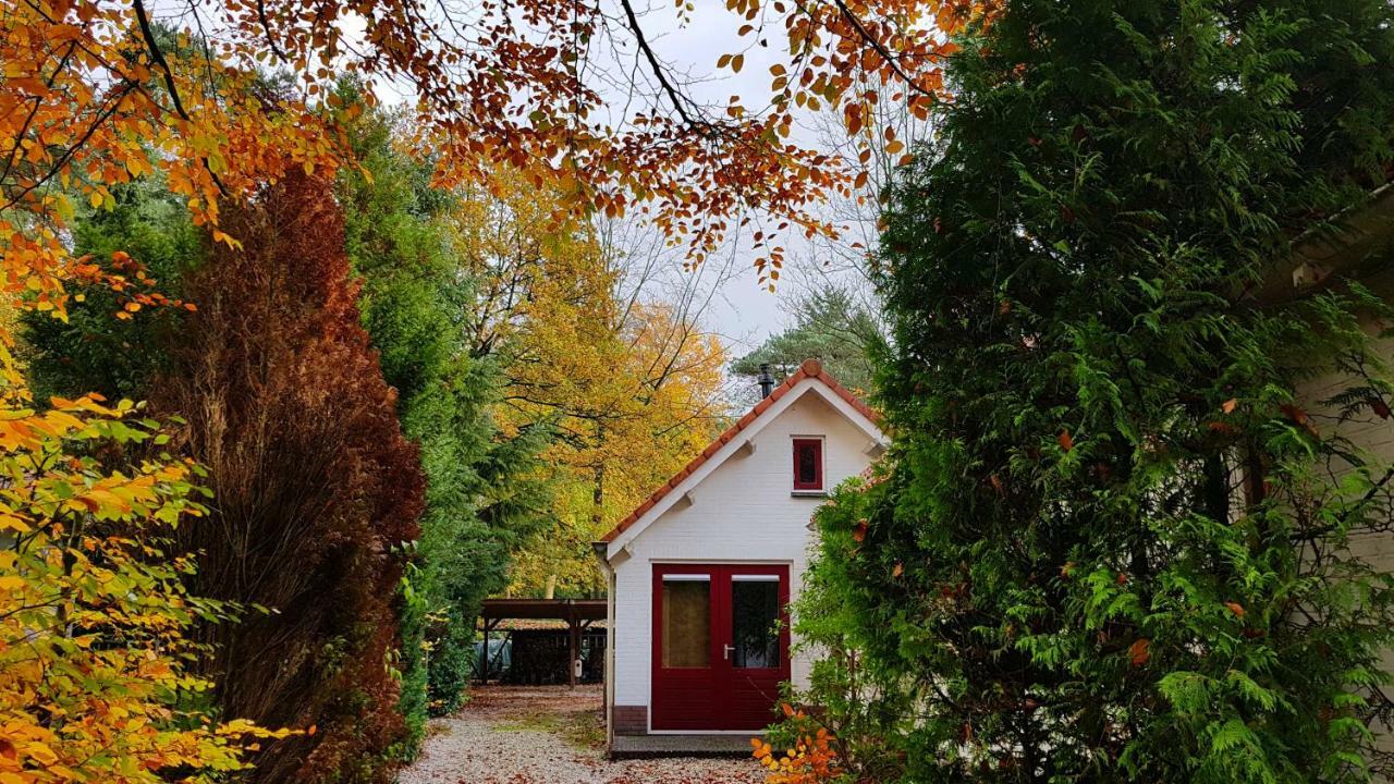 Dennenhuis Vaassen Kültér fotó